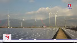 Thống nhất mức giá tạm thời với 15 nhà máy điện gió, điện mặt trời