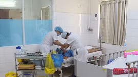 Cảnh báo bệnh than xuất hiện trở lại