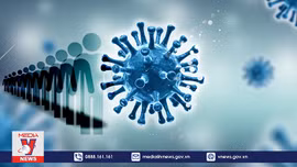 Quy trình tiêm thử nghiệm vaccine COVID-19 Việt Nam trên người