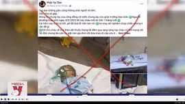 Nhận diện những mánh lừa mạo danh trên mạng xã hội