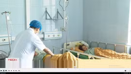 14 người nhập viện nghi ngộ độc nấm