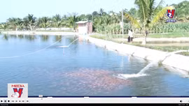 Điều tra nguyên nhân cá chết hàng loạt tại huyện Đăk Hà, Kon Tum