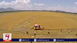 Bộ Nông nghiệp và Phát triển nông thôn khẳng định đảm bảo an ninh lương thực