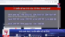 Đấu giá trực tuyến biến số xe ô tô