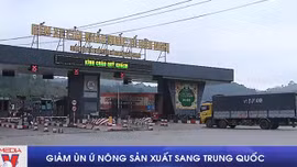 Giảm ùn ứ nông sản xuất sang Trung Quốc
