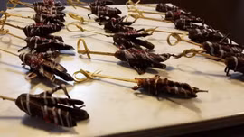 Biến châu chấu thành đặc sản để ngăn chặn đại dịch 