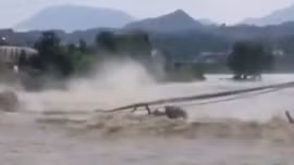 Dòng lũ siết giật sập cây cầu đá 400 năm tuổi tại Trung Quốc