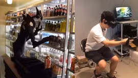 Thiếu lao động trầm trọng, Nhật Bản đưa robot vào siêu thị làm việc