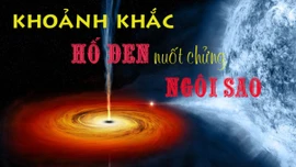 NASA bắt được khoảnh khắc hiếm hoi hố đen nuốt chửng ngôi sao