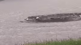 'Cổng địa ngục' xuất hiện giữa biển nước lũ tại Australia