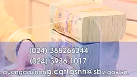 Lập đường dây nóng, xử lý hoạt động đại lý bảo hiểm của tổ chức tín dụng