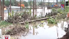 Sạt lở bờ sông diễn biến phức tạp ở Sóc Trăng