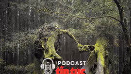 Góc lạ thế giới: Những bí ẩn 'lạnh gáy' trong khu rừng đáng sợ nhất thế giới