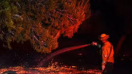 Hoả hoạn từ đám cháy cỏ thiêu rụi khu vực rộng lớn tại California, Mỹ