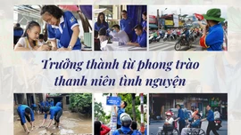 Tin tức TV: Trưởng thành từ phong trào thanh niên tình nguyện