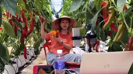 Phụ nữ tích cực tham gia 'cuộc đua' chuyển đổi số 