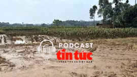 ‘Giải mã cùng luật sư’: Giải pháp khắc phục những lỗ hổng trong đấu giá đất, đấu giá quyền khai thác khoáng sản?