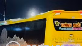 TP Hồ Chí Minh: Nhà xe Thành Bưởi bị 'tố' né thuế, phí hàng chục tỷ đồng