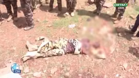 Chi nhánh Al Qaeda tấn công khủng bố ở Mali khiến hơn 300 người thương vong