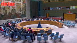 Palestine trước cơ hội lịch sử làm thành viên chính thức của Liên hợp quốc