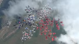 100 cô gái nhảy dù hình hoa