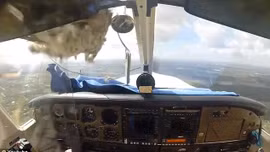 Chim trời lao vỡ toang buồng lái máy bay