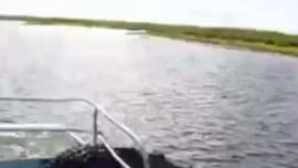 Giật mình cá sấu gần 2m chồm lên thuyền của du khách