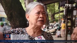 Ý kiến xung quanh việc đục thông 127 vòm cầu trăm tuổi ở Hà Nội