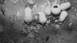 Tranh cãi quanh vụ tìm ra tàu chở kho báu San Jose