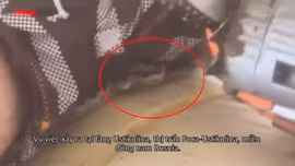 Người đàn ông bị rắn độc bò vào chỗ hiểm