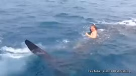 Nam thanh niên liều mạng cưỡi cá mập voi