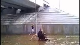 Cảm động chó giúp chủ đẩy xe lăn vượt lũ