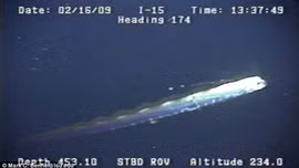 Video hiếm về loài cá mái chèo khổng lồ