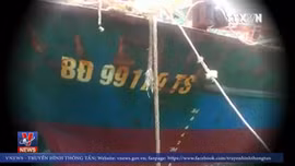 Làm rõ trách nhiệm đóng tàu vỏ thép kém chất chất lượng cho ngư dân