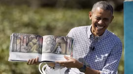 Đàn ong 'phá đám' ông Obama kể truyện