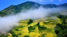 Sa Pa, Cần Thơ lot top điểm đến lý tưởng ở châu Á vào mùa thu