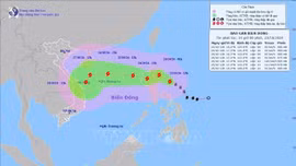 Bão Trà Mi nhiều khả năng ảnh hưởng tới Trung Bộ