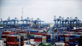 Chỉ đạo 'nóng' khi cước vận tải biển tăng cao