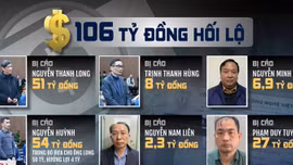 Bài học từ đại án Việt Á