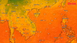 Thời tiết tuần 11/12-17/12: Sương mù che phủ nhiều địa phương, biển động nhẹ