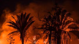 Cháy rừng hoành hành ở vùng đất ngập nước nhất thế giới