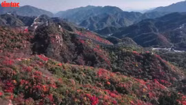 Ngắm trọn mùa thu đẹp đến nao lòng ở Trung Quốc 