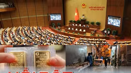 Tin tức TV: Cháy nhà trên phố Trung Kính; các trường đại học công bố điểm chuẩn xét tuyển sớm