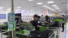 Kỳ vọng sự lan tỏa công nghệ từ doanh nghiệp ngoại sang doanh nghiệp nội phát triển mạnh trong năm 2024