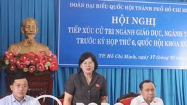 Cử tri TP Hồ Chí Minh kiến nghị nâng lương cho giáo viên, bác sĩ 