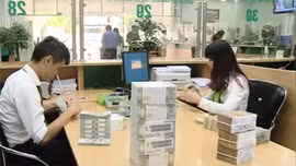 Đồng Việt Nam vẫn tăng giá so với các đồng tiền khác 