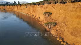 Sạt lở nghiêm trọng bờ sông Ngàn Phố