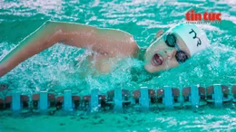 Khát vọng vươn xa của kình ngư trẻ Việt Nam