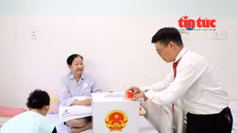 Cử tri là bệnh nhân được bỏ phiếu ngay tại bệnh viện