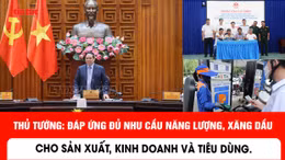 Thực hiện các biện pháp căn cơ để ổn định thị trường xăng dầu và chống khai thác hải sản bất hợp pháp